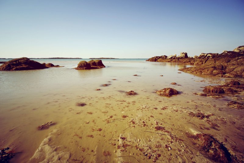 Réouverture de la pêche