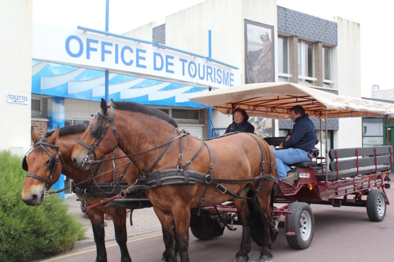 Promenade en calèche dans notre commune