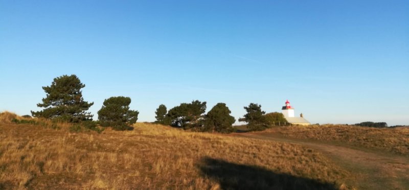 Visite guidée – La pointe d’Agon, lecture de paysages