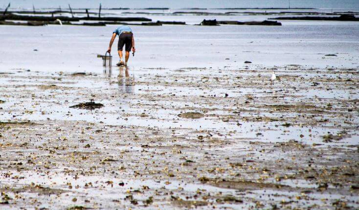 Règlementation chasse, pêche et agriculture