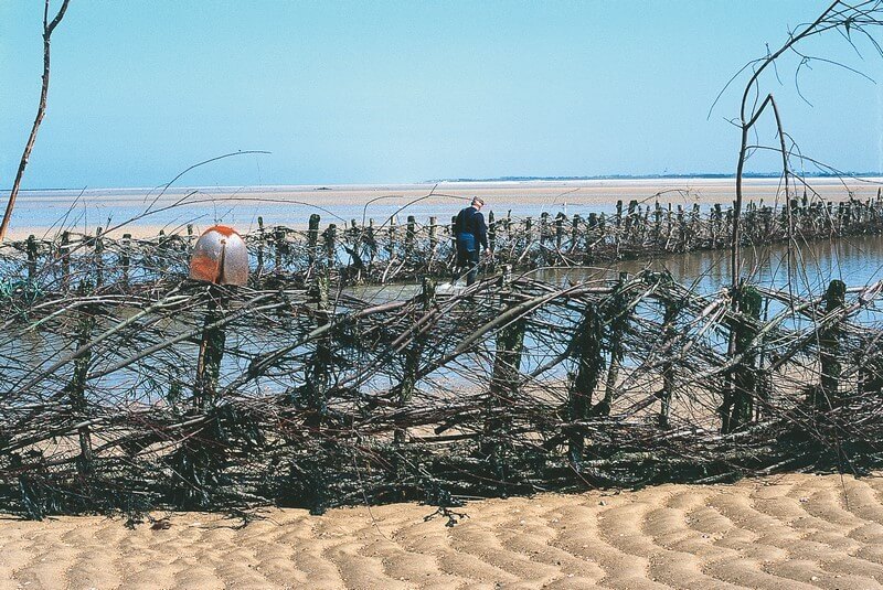 Visite des pêcheries