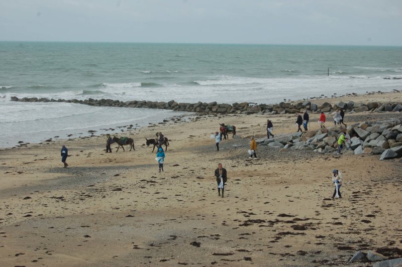 Petit Musée du Littoral et de la Mer