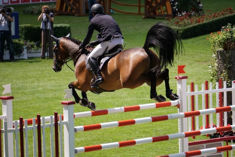 Concours de saut d’obstacle