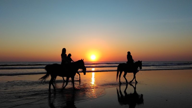 Promenade Coucher de soleil cavaliers expérimentés