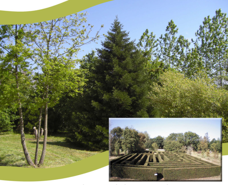 Visite de la forêt pédagogique