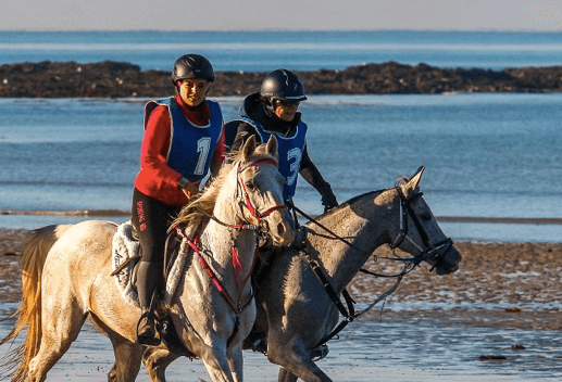 Course d’endurance équestre