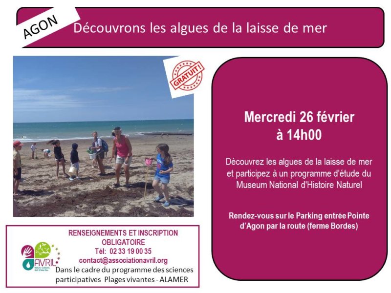 Découverte de la laisse de mer et des dunes