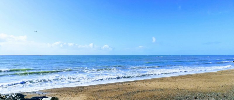 Rapport qualité des eaux de baignade