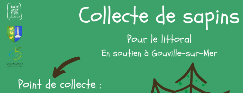 Collecte de sapins