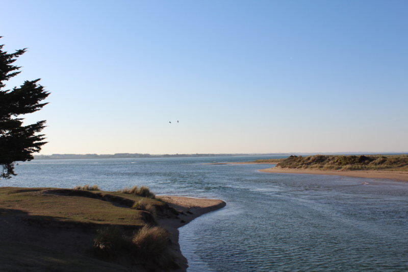 CONCOURS PHOTO DE L’APP2R : « La faune de la côte des Havres »