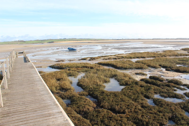 Safari-photos à la Pointe d’Agon