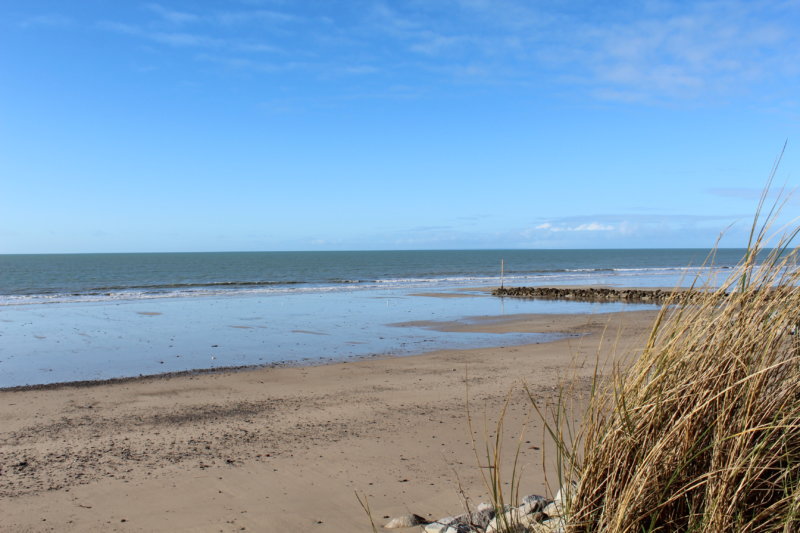 Biodiversité de estran