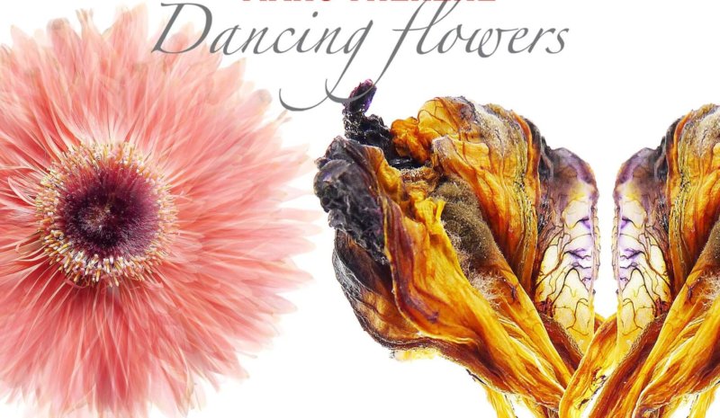 Marc Théréné / Dancing Flowers – Fleurs et Jardins imaginaires