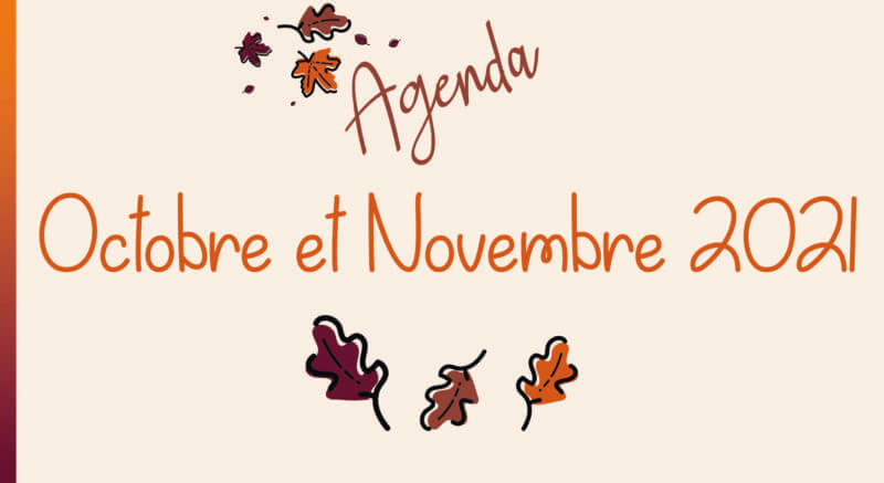 Octobre – Novembre : programme des animations