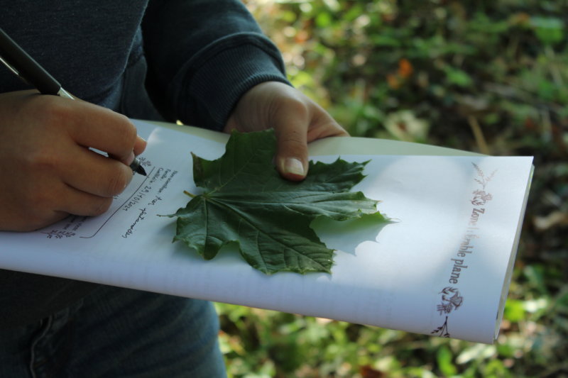 Appel aux particuliers à ouvrir leur jardin