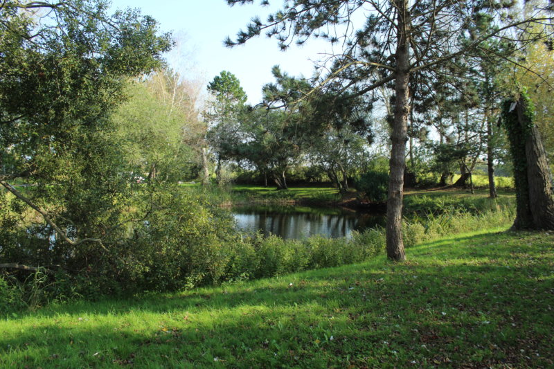 Fête de la Nature : Exposition permanente