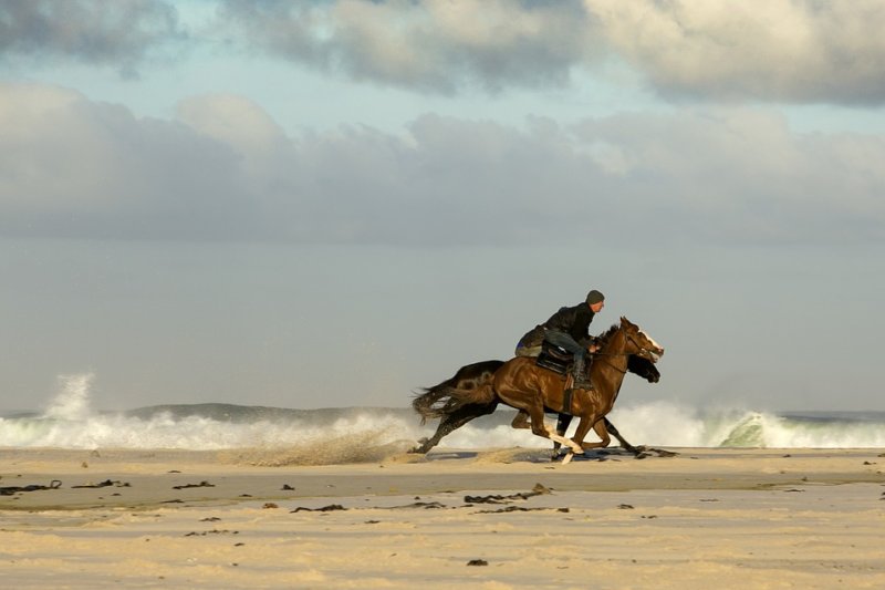 Course d’Endurance equestre