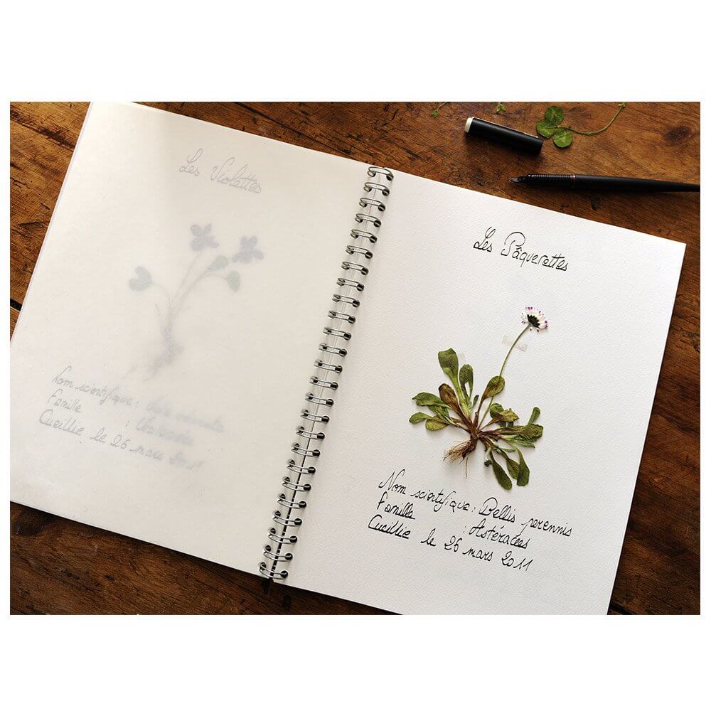 Créer son herbier au jardin de la Beuverie | Agon-Coutainville