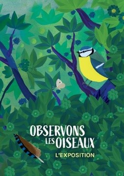 Exposition « Observons les oiseaux »