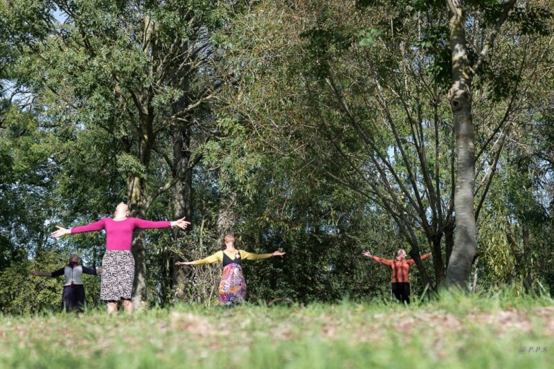  » Mémoire d’un Arbre » : une performance dansée