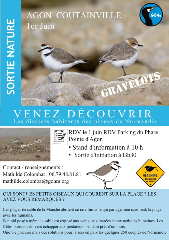 Sortie nature