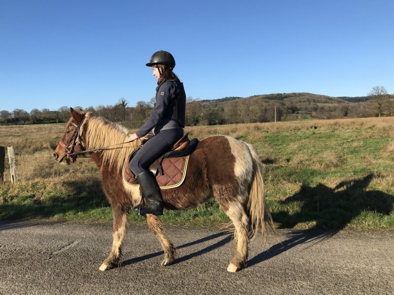 Promenade à cheval