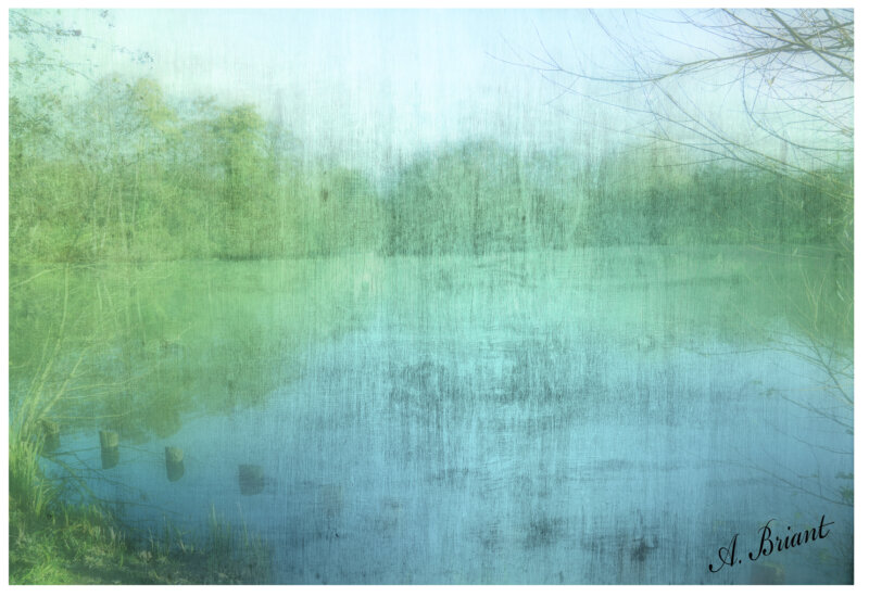 Exposition photographique