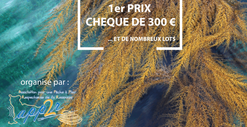 Concours Photo