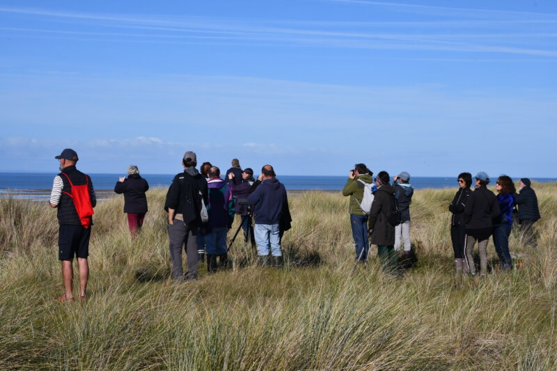 Journées Vertes & Bleues