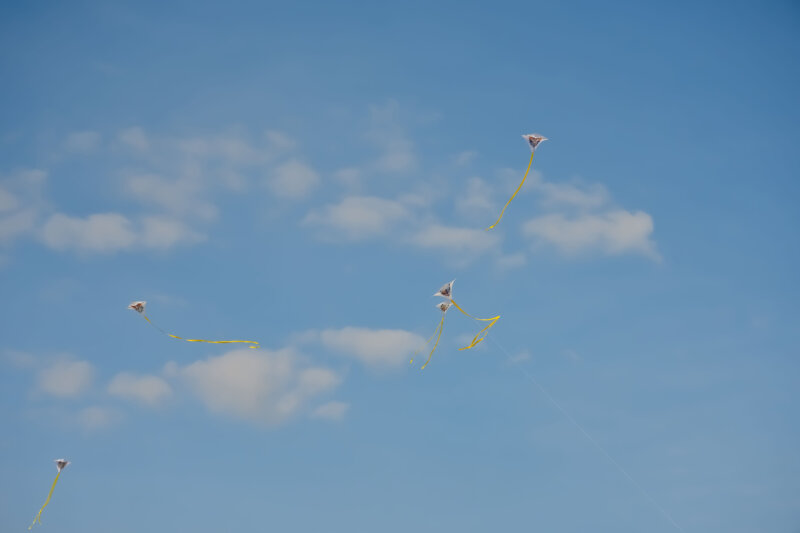 Atelier cerf-volant