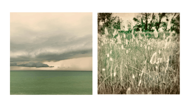 Exposition « Terre Marine »