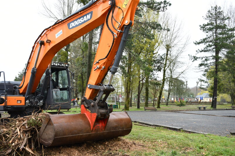 Abattage d’arbres à la Mare de l’Essay