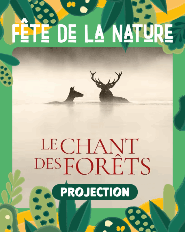 Projection du documentaire « Le Chant des forêts »
