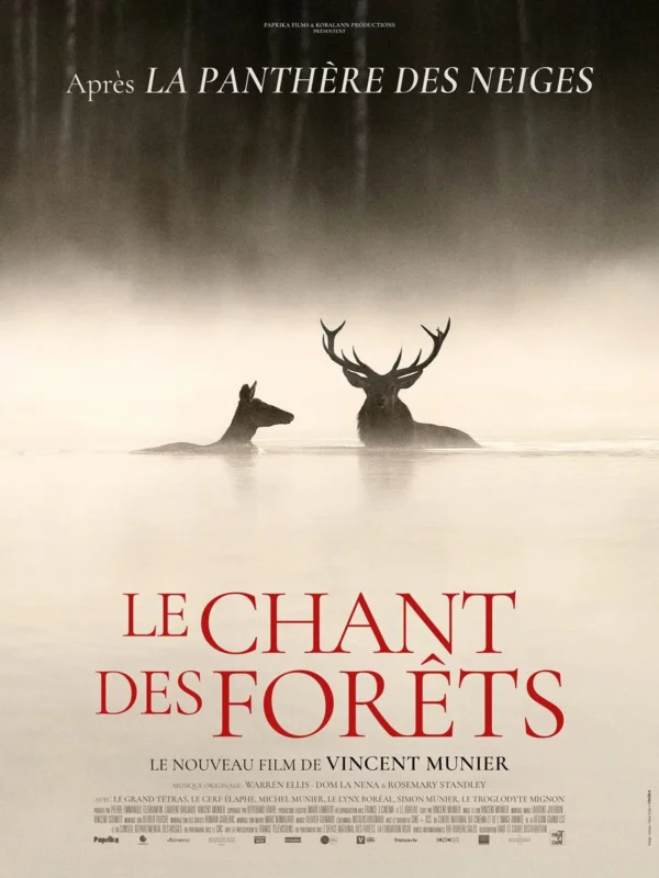 Projection du documentaire « Le Chant des forêts »