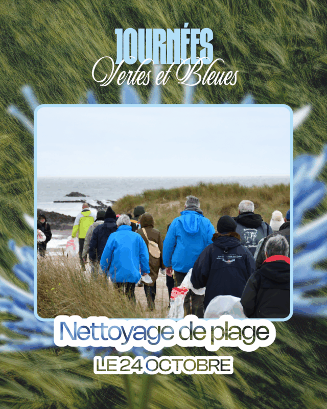Nettoyage de plage